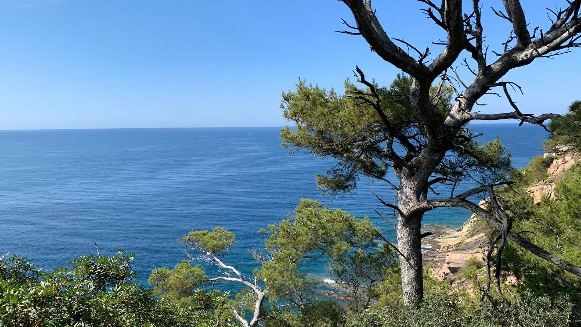 Villa Provence Azur - Grand Appartement Avec Piscine Proche Mediterranee La Seyne-sur-Mer